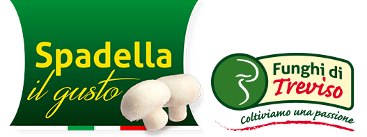 Ricette in cinque minuti